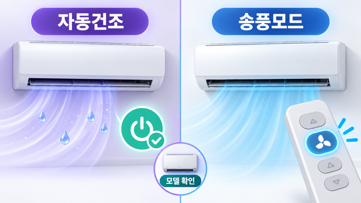 본문 이미지 2